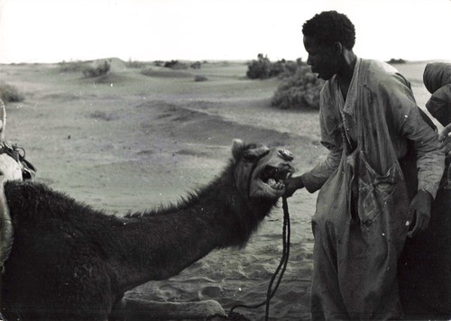 Ancienne photographie afrique - ancienne,