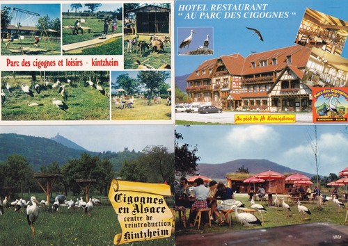 Lot cartes postales - lot, 4