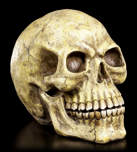 Cranium grand figurine - grand,