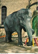 Carte postale animaux - postale,
