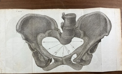 Anatomie obstétrique 1807 - anatomie,