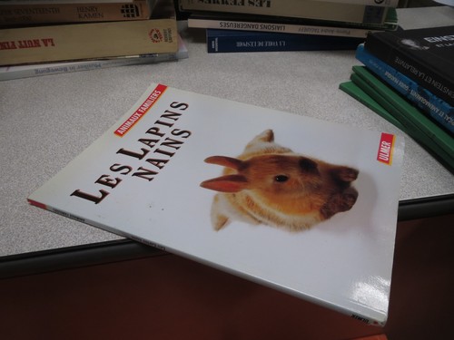 Ter01 les lapins nains ulmer - nains,