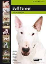 Bull Terrier, Various
