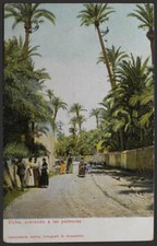 Alicante. Elche. Montant Aux Palmiers.