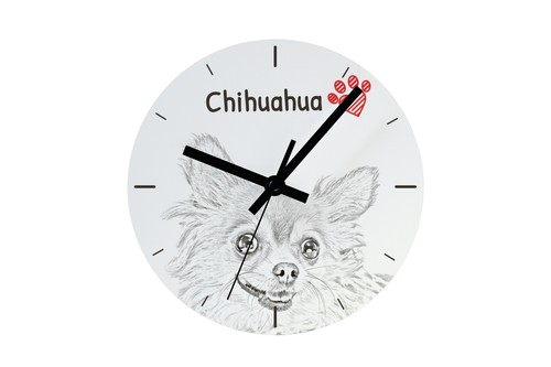 Chihuahua poil long - à,