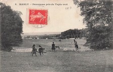 78 MARLY LE ROI TAPIS VERT