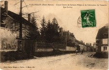 CPA FAYL-BILLOT - Grand Centre de CUlture d'Osier et de Fabrication de (368526)