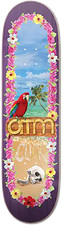 ATM PARROT DECK-8.5