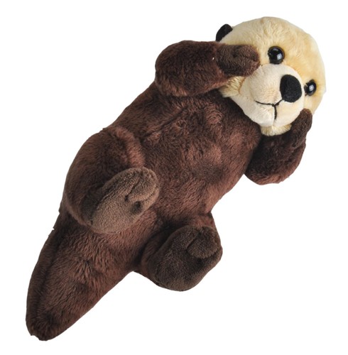 Wild calls loutre - calls, cris