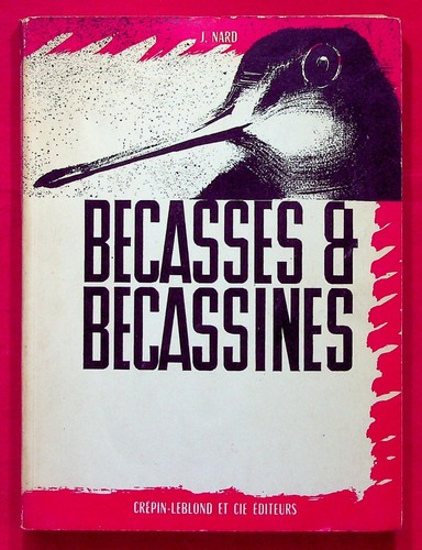 Bécasses bécassines - bécasses, et