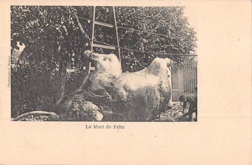 Cpa tours mort - la,