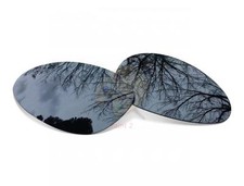 Verres de Rechange Polarisée