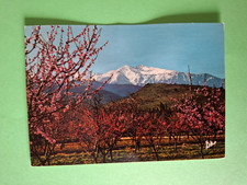 Carte Postale des Pyrénées Orientales GF 66 le Canigou papier au dos 1978