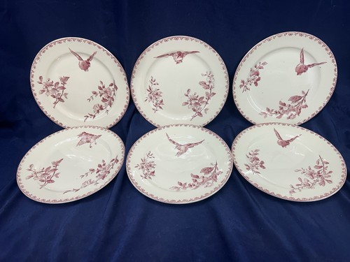 Belles assiettes dessert - belles,