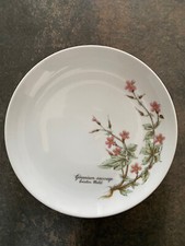 lot de x8 Assiette WINTERLING