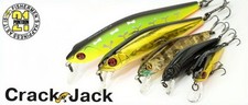 PONTOON 21 POISSON NAGEUR CRACK JACK 38SP-SR (Minnow)