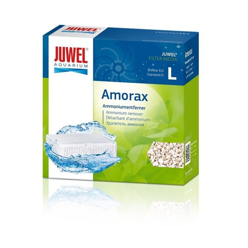 Juwel amorax - l,