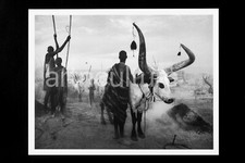 SEBASTIAO SALGADO - GENESIS -