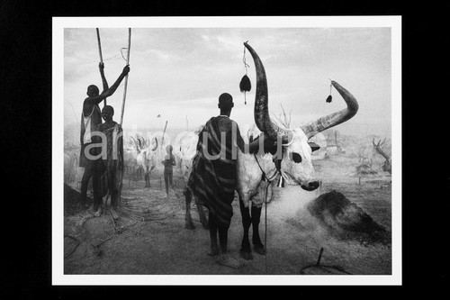 Sebastiao salgado genesis - -,