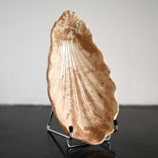 Ravier coquillage Jules Vieillard Bordeaux Faience XIXeme France