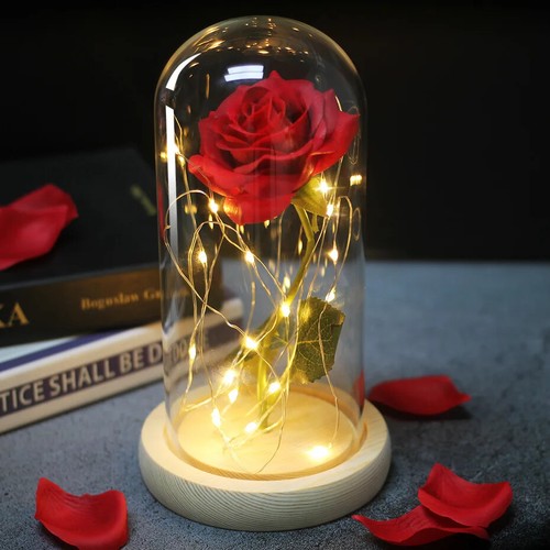 Beauty and the - and, led