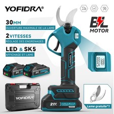 Sécateur Électrique Sans Fil