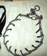 Collier Torquatus pour chien