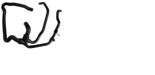 Durite inférieure - inférieure, de