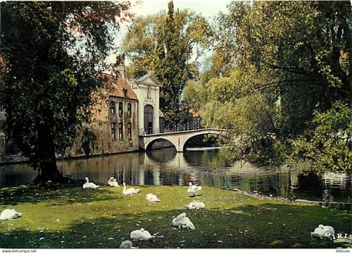 Carte postale belgique - carte,