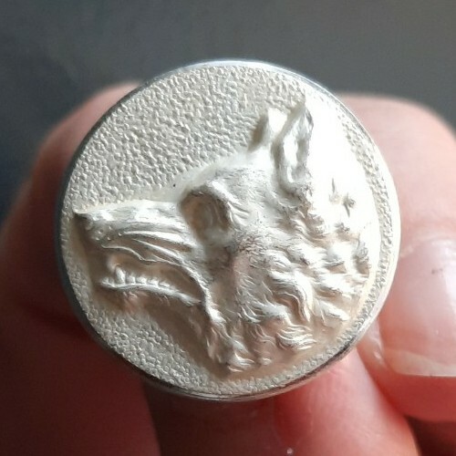 F10i09 tête loup blanc - tête,