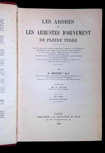 Mottet les arbres - mottet,,