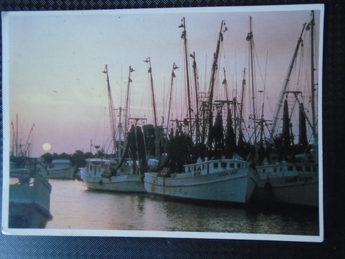 Cpm tarpon springs - cpm,