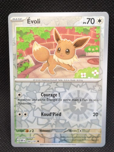 Carte pokemon évoli - carte,