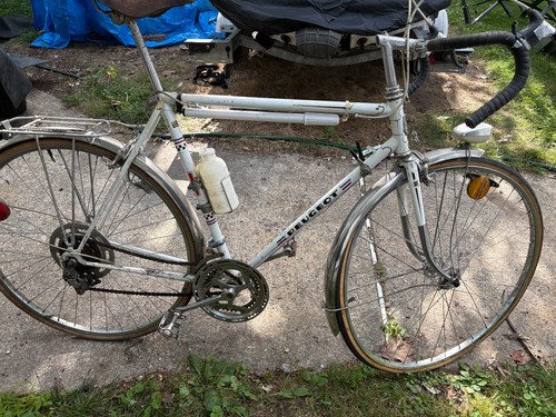Peugeot bicycle vintage - peugeot,