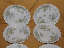 6 assiettes creuses calottes