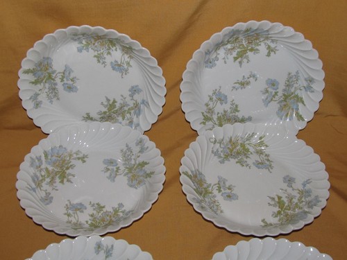Assiettes creuses calottes - assiettes,