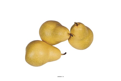 Poire william fruit vert 3 - vert, x