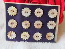 Rare petite plaque boutons anciens en nacre  1,2 cm  lot de 12 n°29