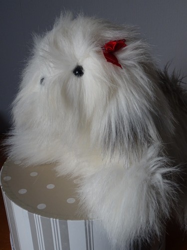 Chien bobtail jls chosun - ,