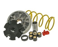 Variateur MALOSSI Multivar