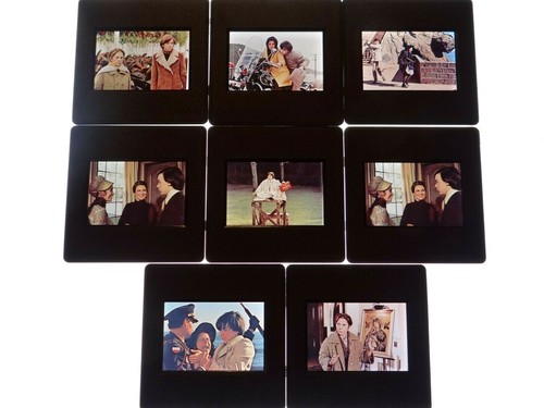 Harold maude hal - et, ashby