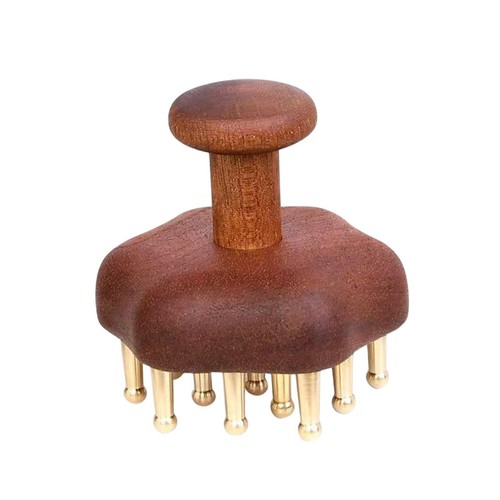 Brosse massage bois pour - brosse,