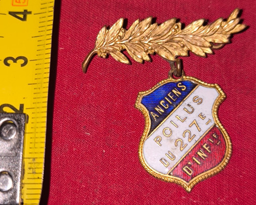 Palme dorée insigne - dorée,