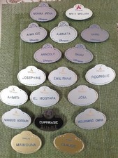 name tag Disneyland pin's épingle Disney Paris  cast member vintage