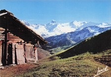 73 BEAUFORT VIEUX CHALET D ALPAGE