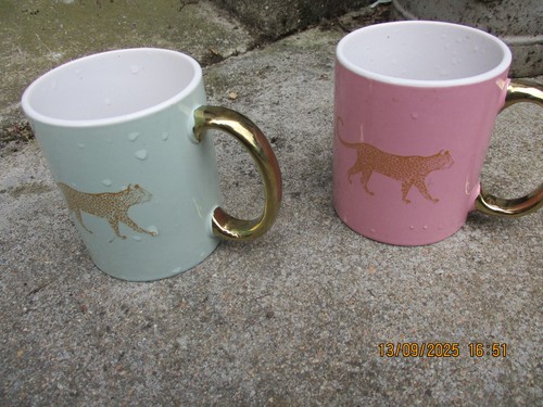 Mugs - 2,