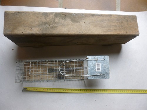 Ancien piege rat art - piege, a