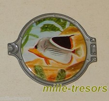 Image HUBLOT 48 : CHAEDOTON EPHIPPIUM - VITHO - LES MERVEILLES SOUS-MARINES