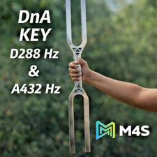 DIAPASON GÉANT AVEC CLÉ DNA