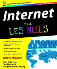 Internet, ed Explorer 10 Pour